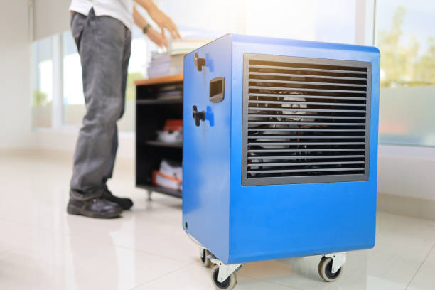 Best Comprehensive Air Testing for Mold Contaminants  in Erie, CO
